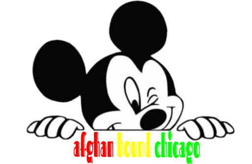 afghanhoundchicago logo